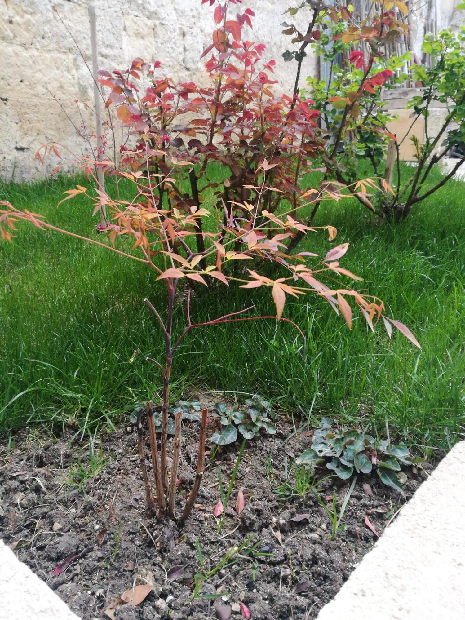 B&B 4U Matera Eksteriør bilde
